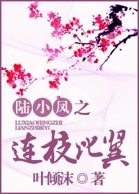 《(陆小凤同人)连枝比翼》