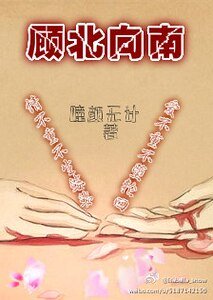 《顾北向南》