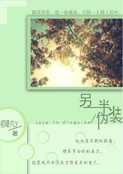 《另一半伪装》