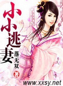 《小小逃妻》