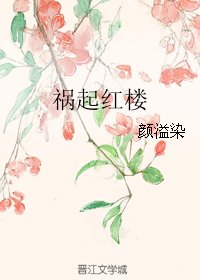 《祸起红楼》