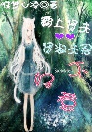 《霸上贤夫:贤淑夫君不好惹》