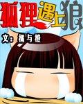 《狐狸遇上狼》