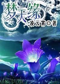 梦天缘