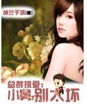 总裁掠爱小舅别太坏