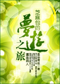 （琼瑶同人）还珠之芝麻包的梦游之旅