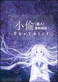 （猎人同人）小偷