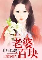《楚楚动人,老婆一百块》