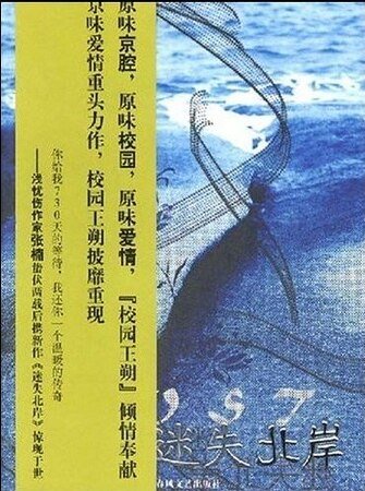 《迷失北岸》