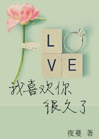 《我喜欢你很久了(网络版)》