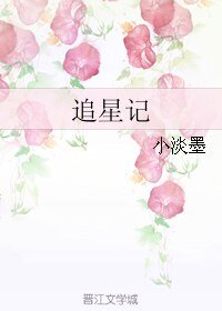 追星记