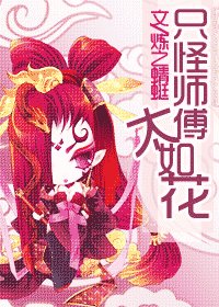 《只怪师傅太如花(网络版)》