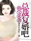 萌宝来袭，总裁复婚吧