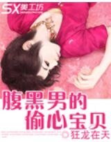 《腹黑总裁的偷心宝贝》