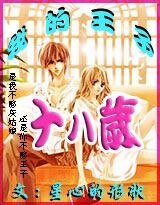 《我的王子十八岁》