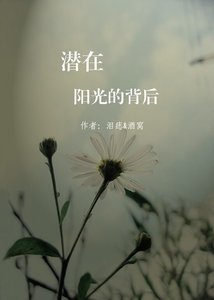 《潜在阳光的背面》