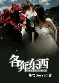 《各奔东西》