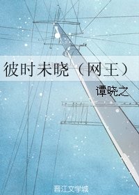 《(网王同人)彼时未晓(网王)》