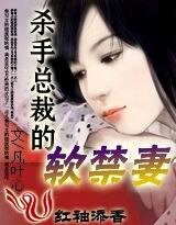 《冷面CEO:偷走你的心(原名:杀手总裁的软禁妻)》