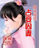 《占妾囚妻》
