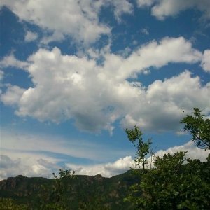《云淡风情过》