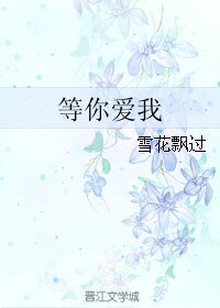 《等你爱我/遇见你,爱上我》