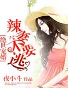 《绝世宠婚:辣妻,不要…》