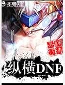纵横DNF