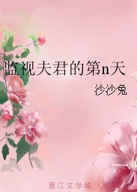 《监视夫君的第n天》