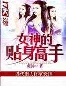 《女神的贴慎高手》