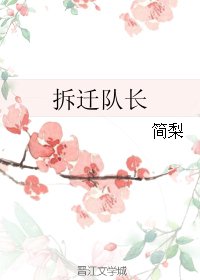 （影视同人）拆迁队长