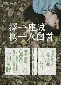《择一座城,携一人败首》