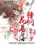 《凉歌梧桐花易落-梧桐花易落》
