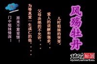 《风殇牡丹》