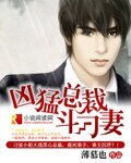 《凶锰总裁斗刁妻》