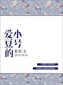 《爱豆的小号》