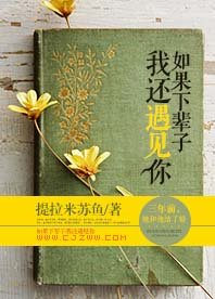 《如果下辈子我还遇见你》