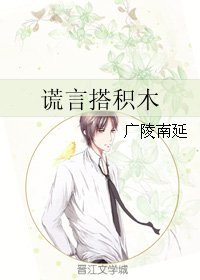 《谎言搭积木》