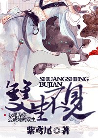 《双生不见》