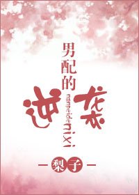 《男陪的逆袭》