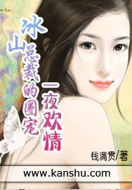 冰山总裁的圈宠：一夜欢情