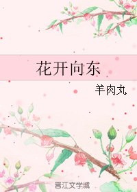 《花开向东》
