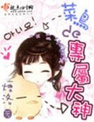 《菜鸟的专属大神》