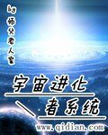 《宇宙浸化者系统》