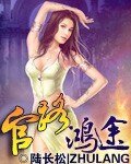 《官路鸿途》