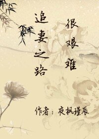 《追妻之路很艰难》