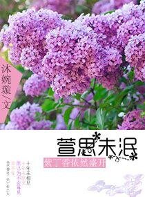 《萱思未泯紫丁香依然盛开》