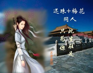 (综琼瑶同人)还珠+梅花之此生驻足只为你