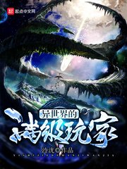 《异世界的满级玩家》