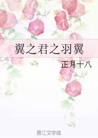 《翼之君之羽翼》